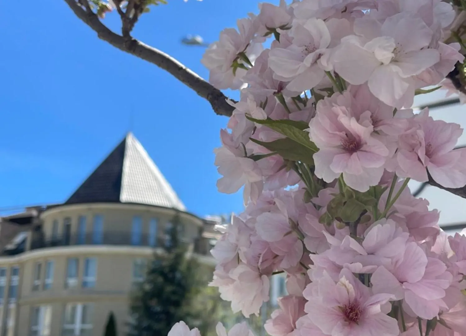 ***** Hotel Maison Sofia - Mgallery Bulgaria
